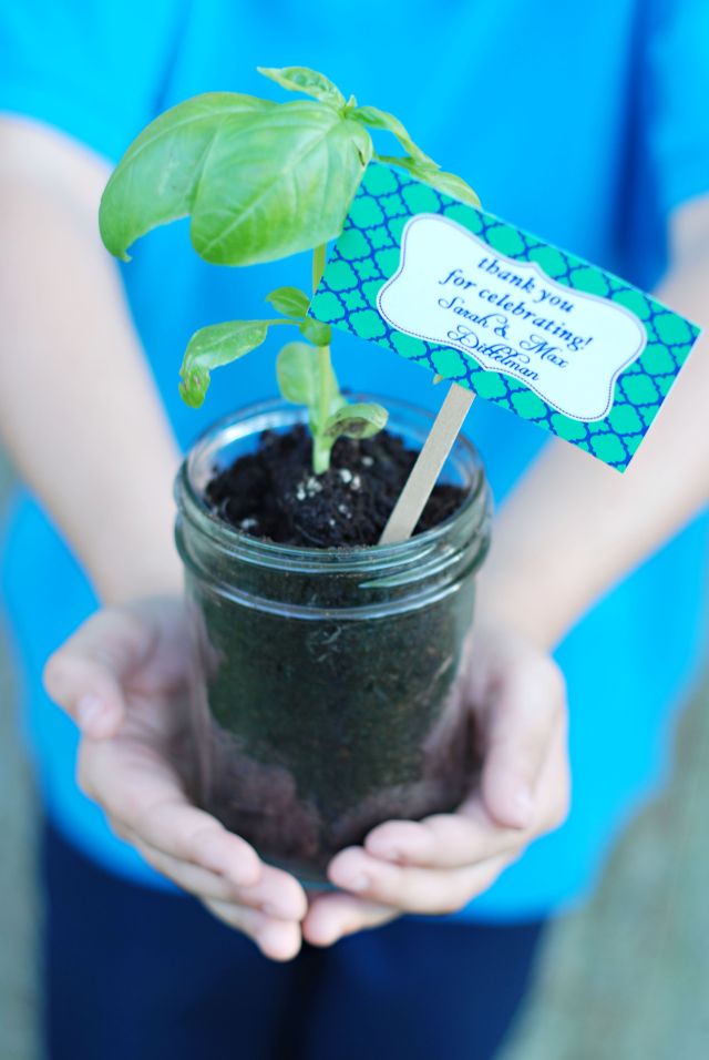 Herb-Favors-kid-friendly-weddings-couture-parties-eco-kids-stephanie-frazier-grimm Herb Favors Kid Friendly Weddings Couture Parties Eco Kids Stephanie Frazier Grimm