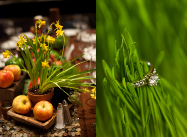 washington-dc-wedding-eli-turner Washington, DC Weddings