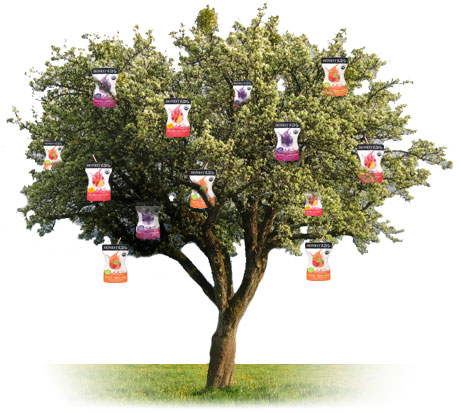 be-an-honest-kid-arbor-day-foundation-honest-tea be an honest kid arbor day foundation honest tea