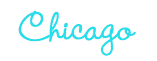Chicago-Eco-Beautiful-Weddings