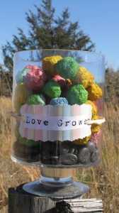 Seed Bombs cedar wood rustics etsy blue collar bride