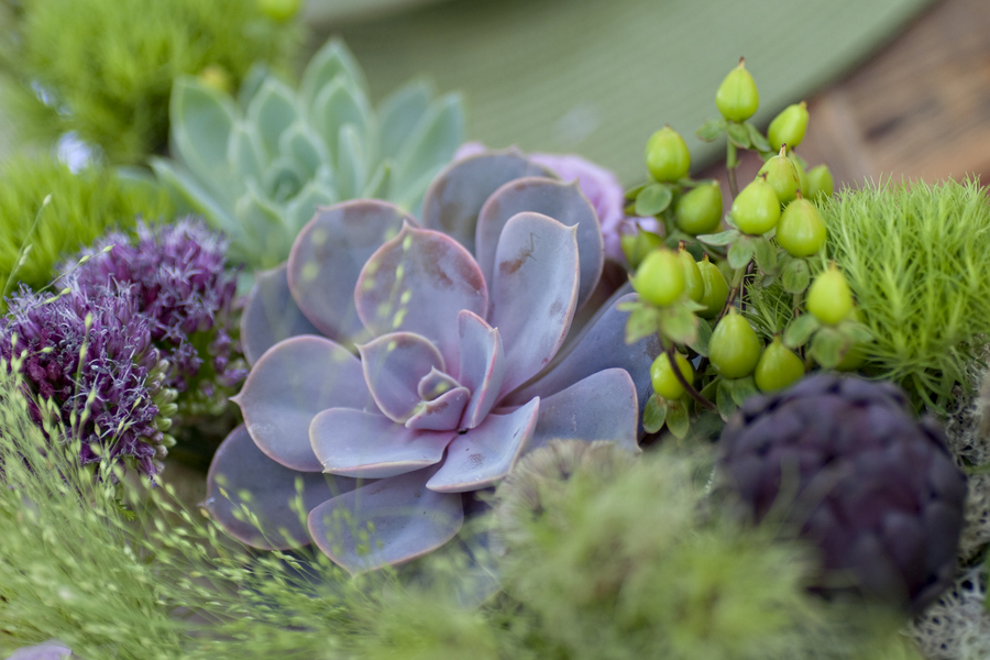 Courtney Lee Photography Colorado Mosiac Events Eco Beautiful Weddings Green Weddings Handmade Eco Friendly Weddings