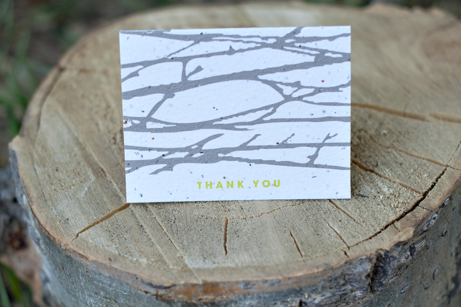 Courtney Lee Photography Colorado Mosiac Events Eco Beautiful Weddings Green Weddings Handmade Eco Friendly Weddings